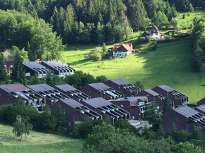 Masionette Apartement Terrassenpark Sasbachwalden - Brandmatt